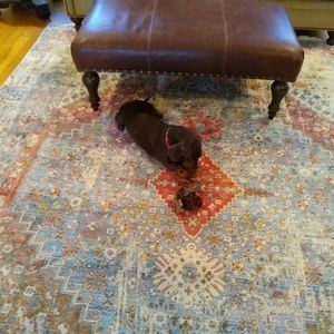 Meet your Posher, Kim